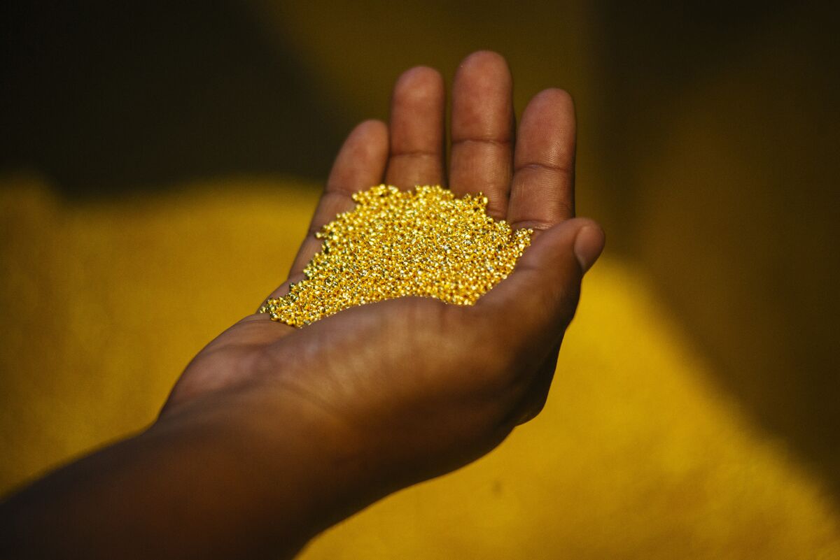 We Sell <span> Pure Raw Gold <br></span>